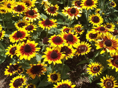 Eastgate On The Range Motel - Hotel NSW 16