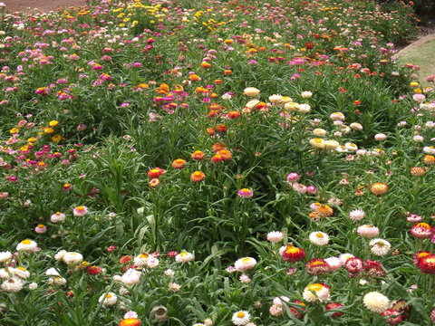 Eastgate On The Range Motel - Hotel NSW 37