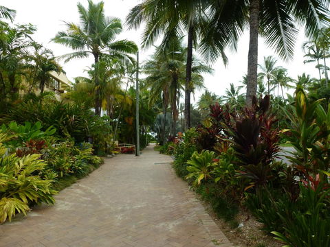 Martinique On Macrossan - Hotel NSW 22