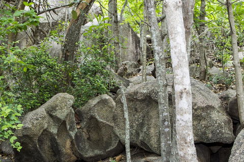 Manyana, 3 Opalia Court - Hotel NSW 6