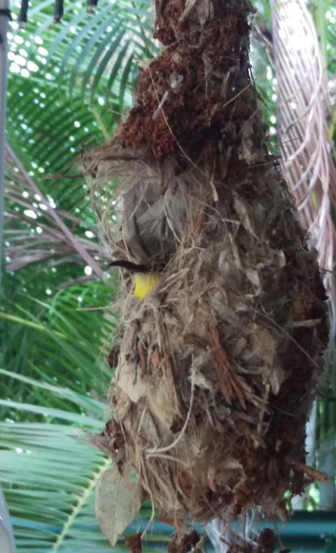 The Mini Manor On Mandalay - Hotel NSW 15