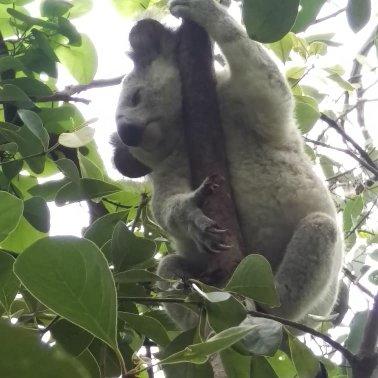 The Mini Manor On Mandalay - Hotel NSW 5