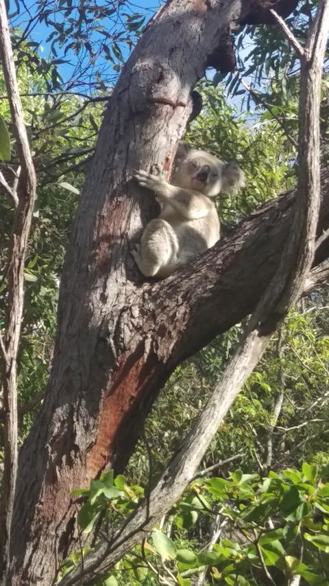 The Mini Manor On Mandalay - Hotel NSW 10
