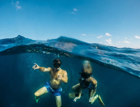 Manta Lodge YHA & Scuba Centre - Hotel NSW 12