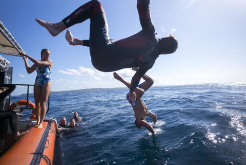 Manta Lodge YHA & Scuba Centre - Hotel NSW 11