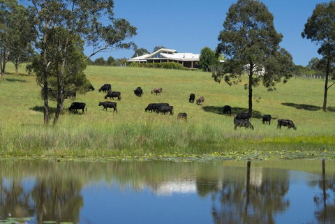'Talumberi,' 221 Trapyard Road - Hotel NSW 0