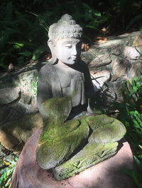 Book Coolum Accommodation Vacations Hotel NSW Hotel NSW