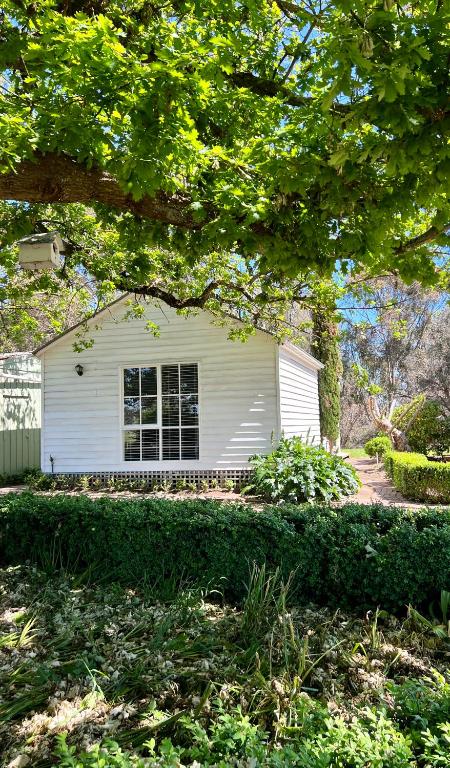 Birchwood Cottage - Hotel NSW 4
