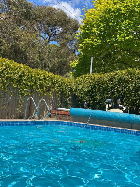 Creek Front House - Hotel NSW 1