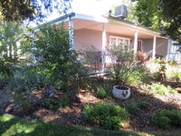 Book Irymple Accommodation Vacations Hotel NSW Hotel NSW