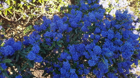 505 CONROD STRAIGHT MOUNT PANORAMA - Hotel NSW 2