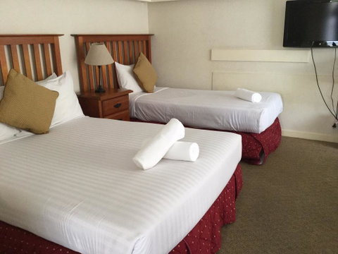 Aberdeen Motor Inn - Hotel NSW 2