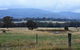 Friends In Harcourt North - thumb 2