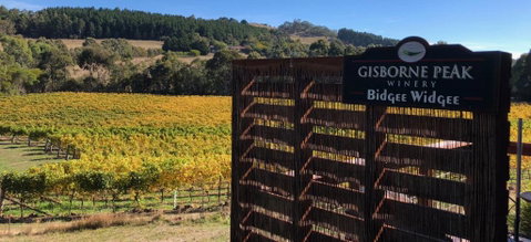 Gisborne Peak Winery Short Term Stays - Hotel NSW 0