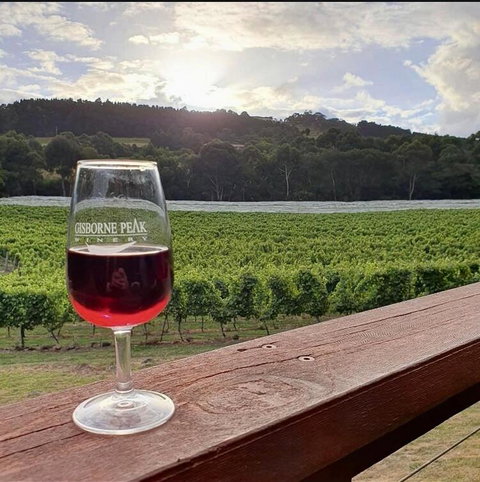 Gisborne Peak Winery Short Term Stays - Hotel NSW 3