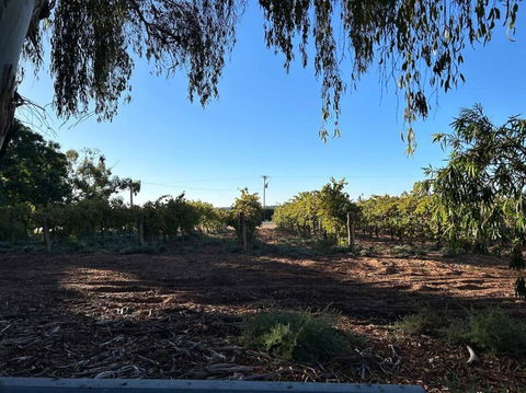 House By The Vines - Hotel NSW 0