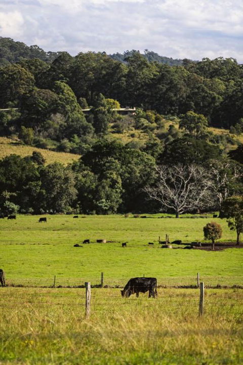 Huntingdon House By Tiny Away - Hotel NSW 2