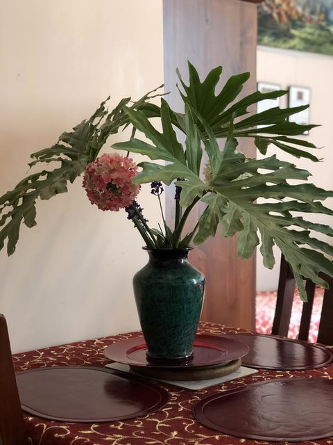 Albany Foreshore Guest House - Hotel NSW 3