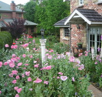 Annie's cottage - Hotel NSW