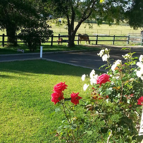 Appin Homestay B & B - Hotel NSW 3