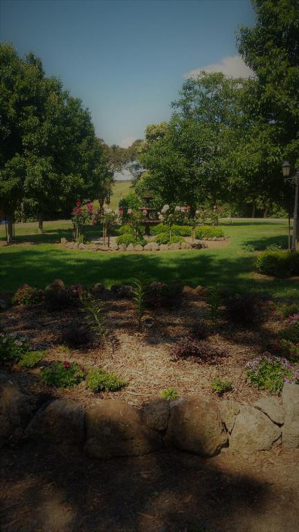 Manderley Park Farmstay B&B - Hotel NSW 1