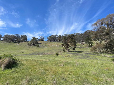 Moonrise Hill - Hotel NSW 2