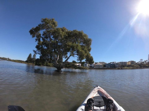 Moreton Bay Beach Lodge - Hotel NSW 1