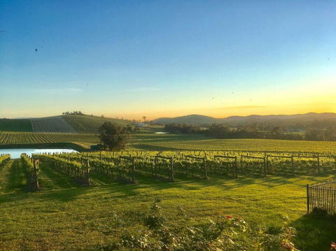 Mount Hope Estate Vineyard - Hotel NSW 0