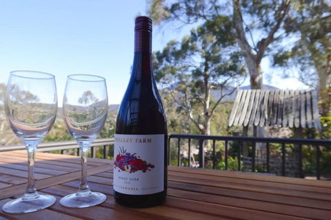 Mountains And Treetops Retreat - Nature Getaway - Hotel NSW 2