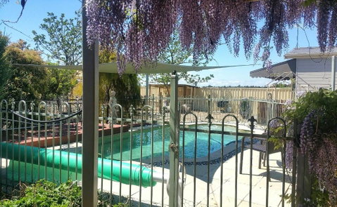 Must Love Dogs B&B & Self Contained Cottage - Hotel NSW 2