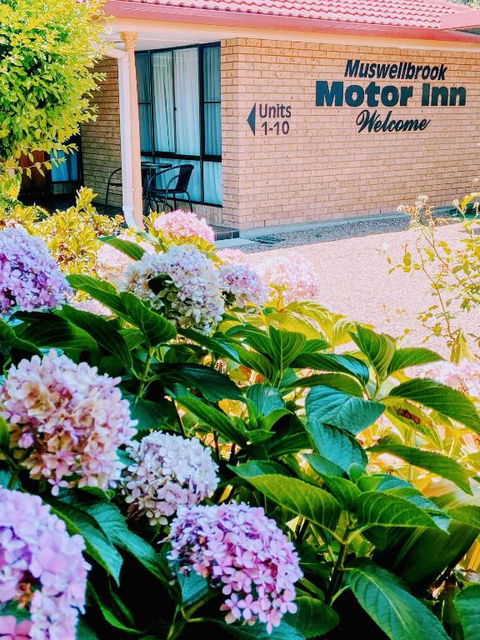 Muswellbrook Motor Inn - Hotel NSW 0