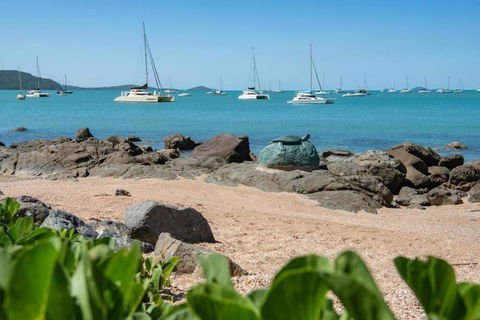 NEW! Gorgeous 2BR Apartment With Stunning Ocean Views! - Hotel NSW 1