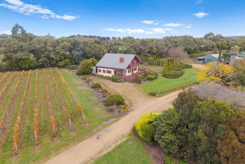 Northway Downs Estate Vineyard - Hotel NSW 3