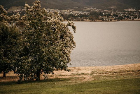 Otago Cottage - Hotel NSW 3
