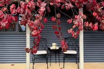 Peaceful Getaway In Stunning Bush Setting with Hotel NSW
