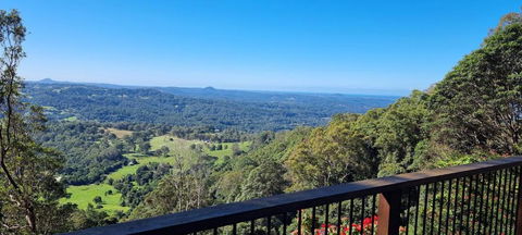 Potters Place Montville - Hotel NSW 2