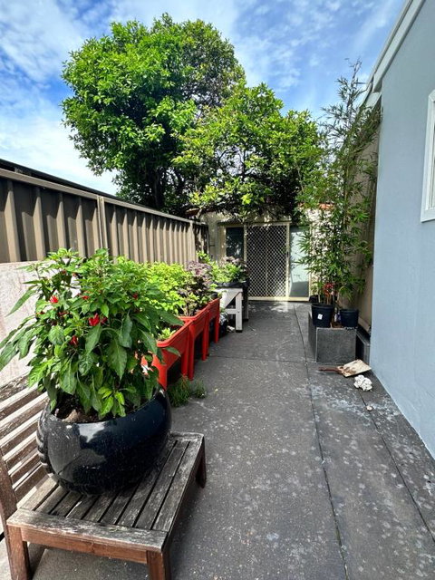 Private, Local Living Studio In Mascot, Airport - Hotel NSW 2