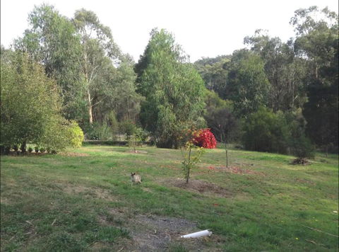 Rainy Hill Retreat - The Cottage - Hotel NSW 1