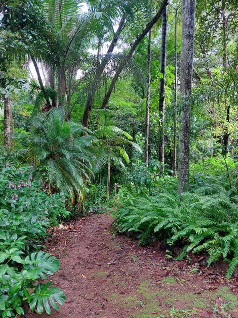 Rainforest Retreat-Fireplace-BBQ-3 Acres- - Hotel NSW 0