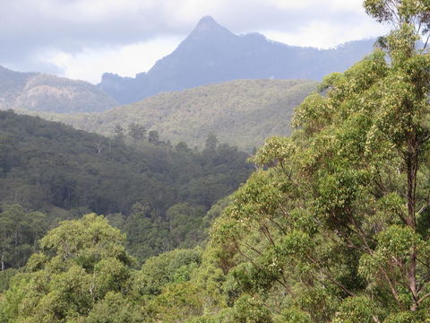 Babbling Brook Retreat - Hotel NSW 2