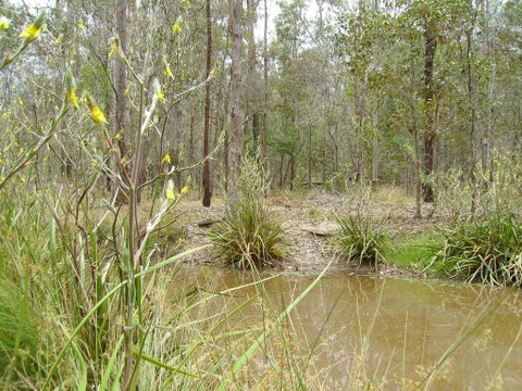 Back To The Bush - Hotel NSW 2