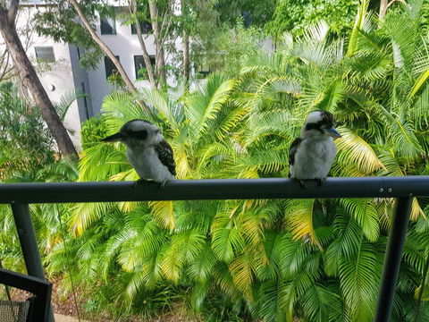 Baden 45 - Rainbow Shores, Beachside Unit, Aircon, Swimming Pool, Tennis Court - Hotel NSW 3