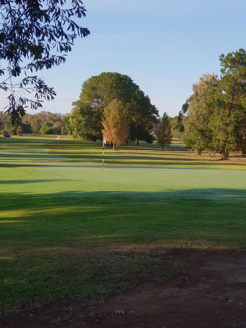 Barooga Golf View Motel - Hotel NSW 2