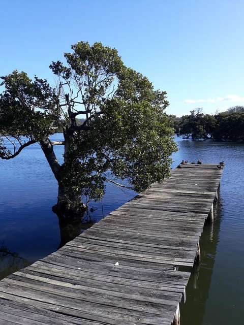 Bay Executive Motel - Hotel NSW 1