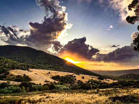 Roam Merrijig - Luxury Stay With Mountain Views - Foothills Of Mt Buller - Hotel NSW 1