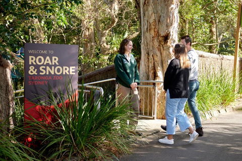 Roar And Snore - Hotel NSW 1