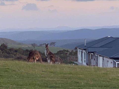 Rooks Edge - Hotel NSW 0