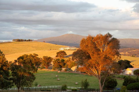 Rose Cottage Yarra Glen - Hotel NSW 1