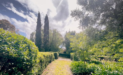 Sanctuary Park Cottages - Hotel NSW 1