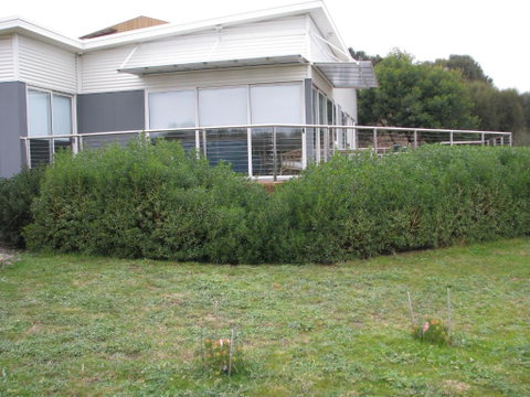 Sandbar Beach House - Hotel NSW 3